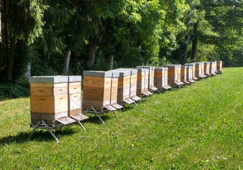 20170707_1059584-700