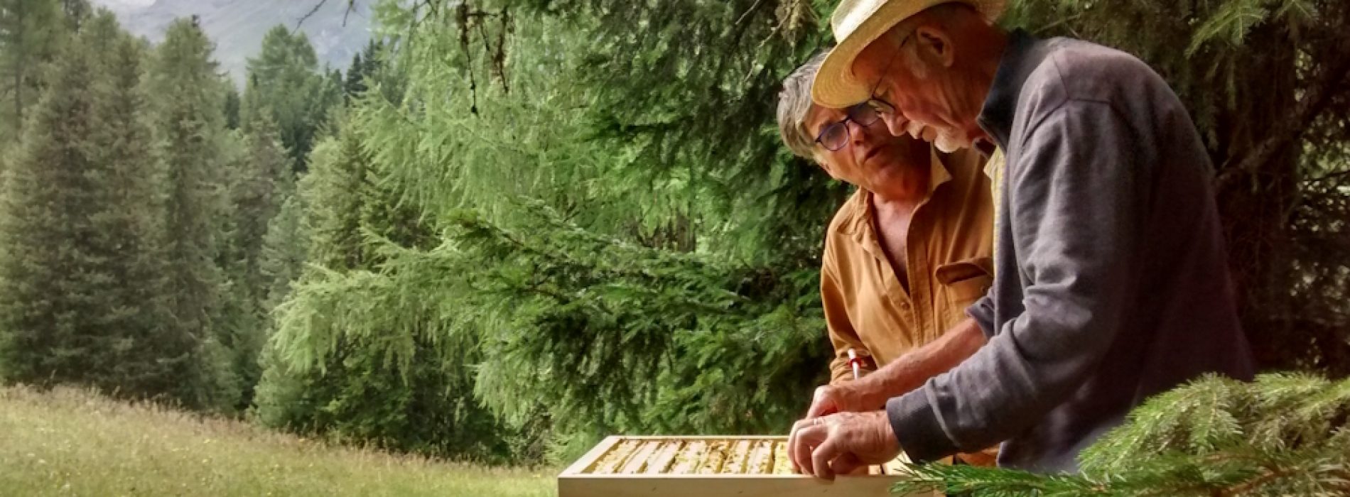 2022-07-28_BW-HWB-Georges_001